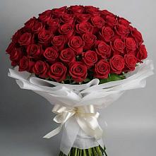 Букет 101 Красная роза Блэк Мэджик в Ильинский Погост