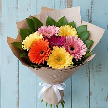 Букет цветов из:  Герберы в Ильинский Погост