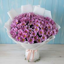 Букет цветов из:  Хризантемы в Ильинский Погост