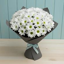 Букет цветов из:  Хризантемы в Ильинский Погост