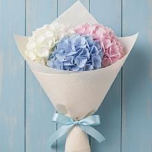 Букет цветов из:  Гортензия в Ильинский Погост