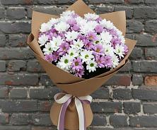 Букет цветов из:  Хризантемы в Ильинский Погост