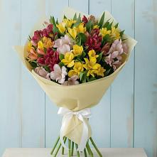 Букет цветов из:  Альстромерии в Ильинский Погост