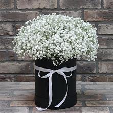 Цветочная композиция из Гипсофила в шляпной коробке #REPLACE_PRED# Ильинский Погост