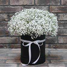 Цветочная композиция из Гипсофила в шляпной коробке в Ильинский Погост